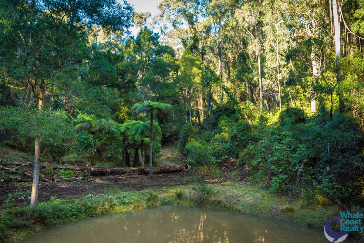 Additional image 19 of 100 Hobbs Point Road, Narooma NSW 2546