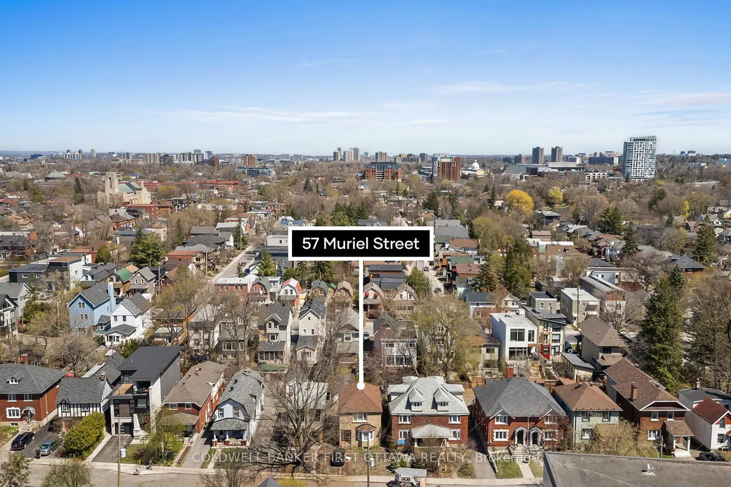 Additional image 3 of 57 Muriel Street