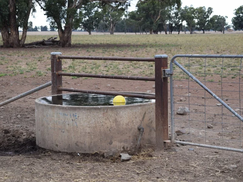 Additional image 10 of ''sloane'' Dicks Plain Road, Mulwala NSW 2647