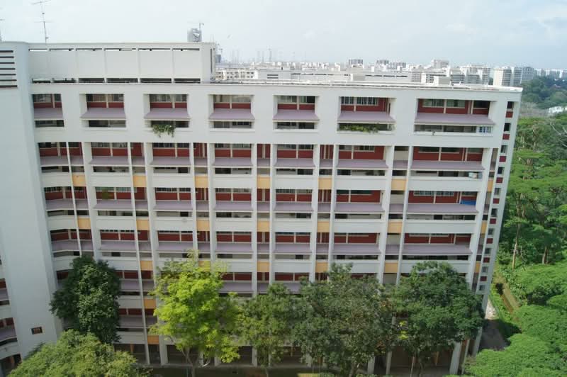 Additional image 7 of 114 Clementi Street 13