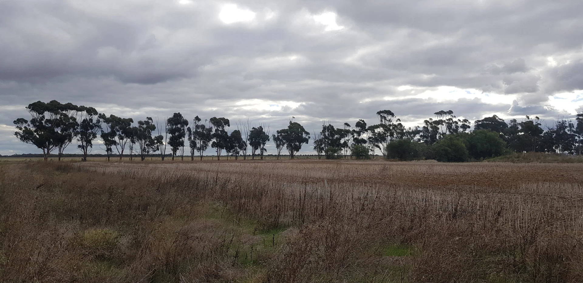 Additional image 2 of Tennyson VIC 3572