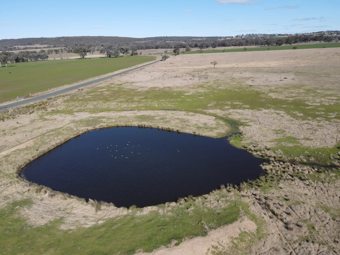 Additional image 13 of "Glenroy" 165 Bald Hills Road, Grenfell NSW 2810