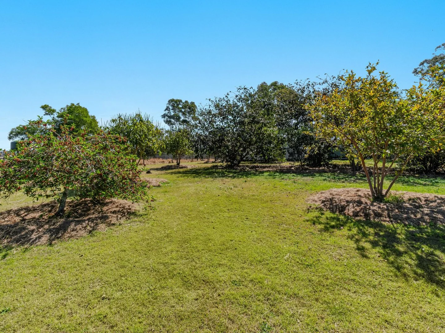 Additional image 12 of 370 Brookers Road, Shannon Brook NSW 2470