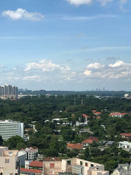 Additional image 6 of 28 Alexandra View