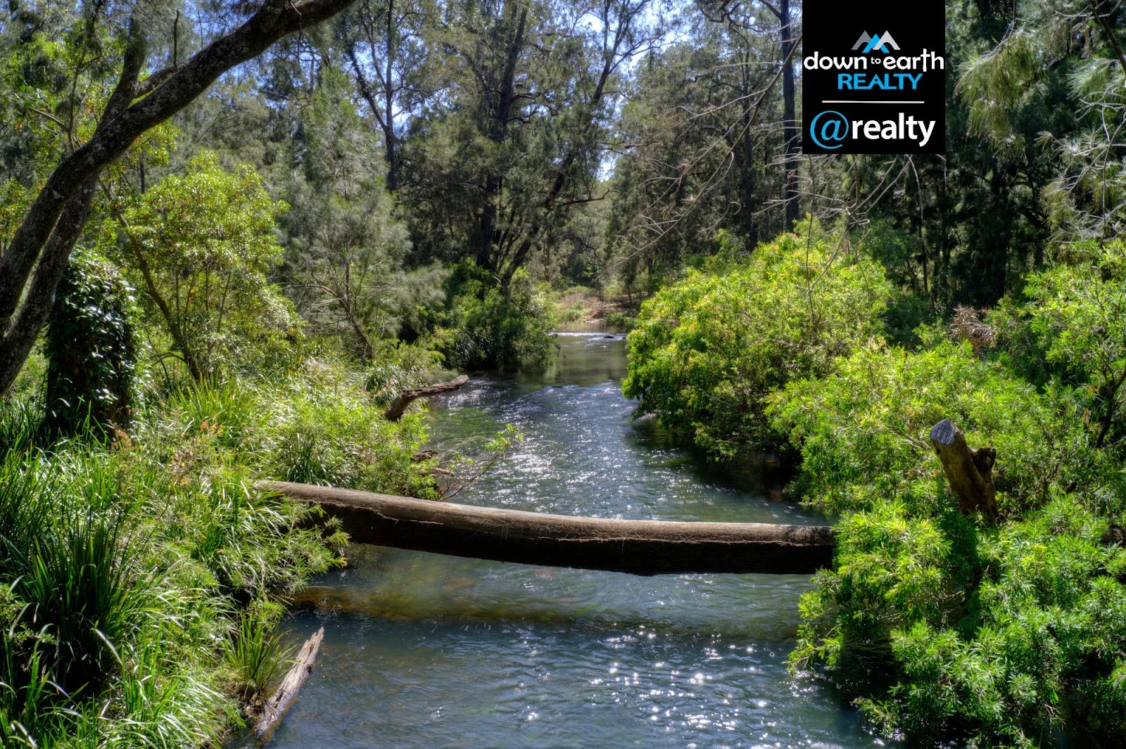 Additional image 18 of 161 River Road, Millstream QLD 4888