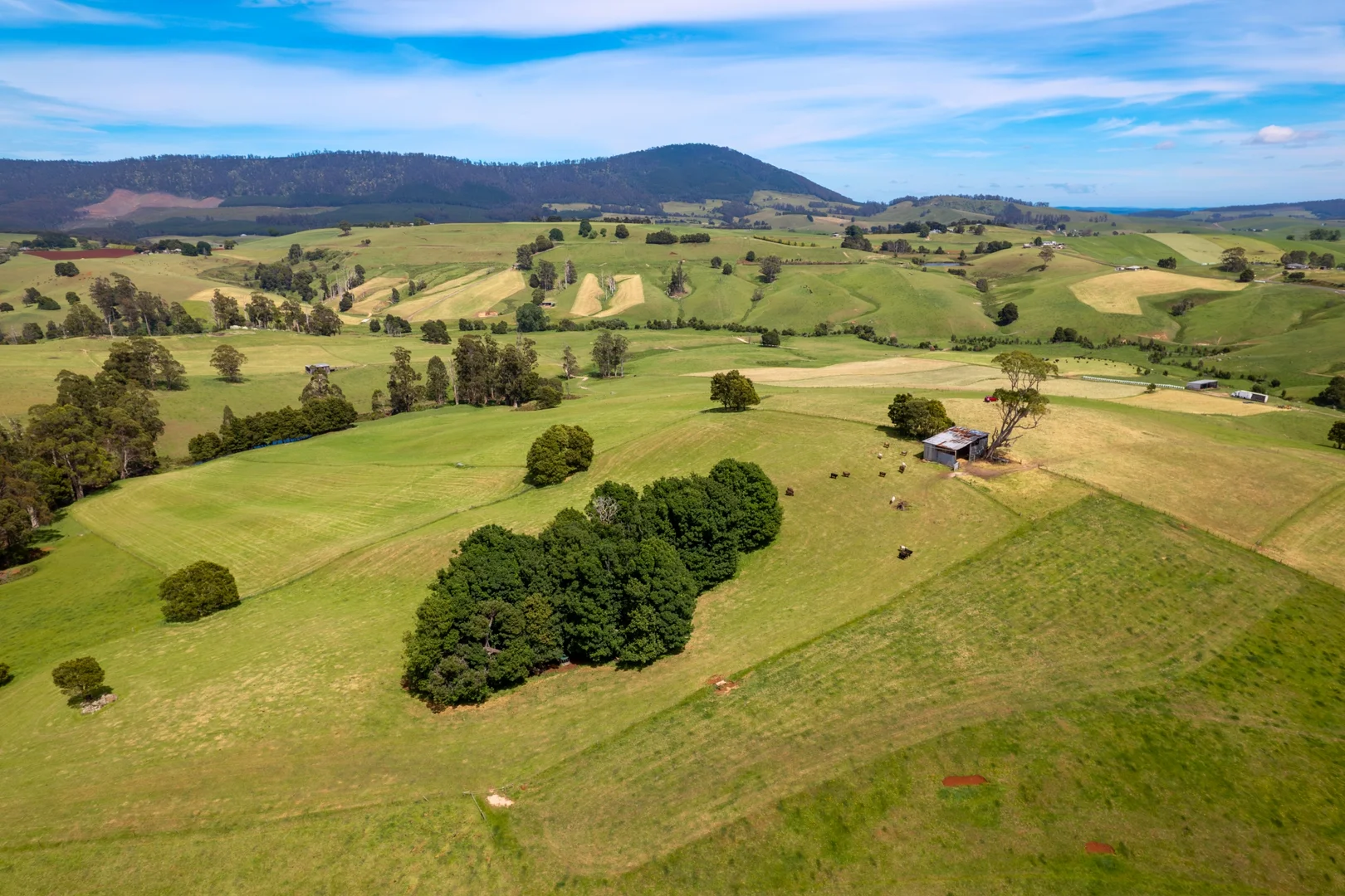 Additional image 15 of 141 Sledge Track, West Scottsdale TAS 7260