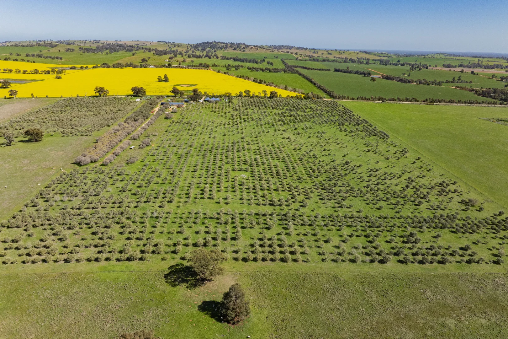 Additional image 95 of 277 Cloughs Road, Yarragundry NSW 2650