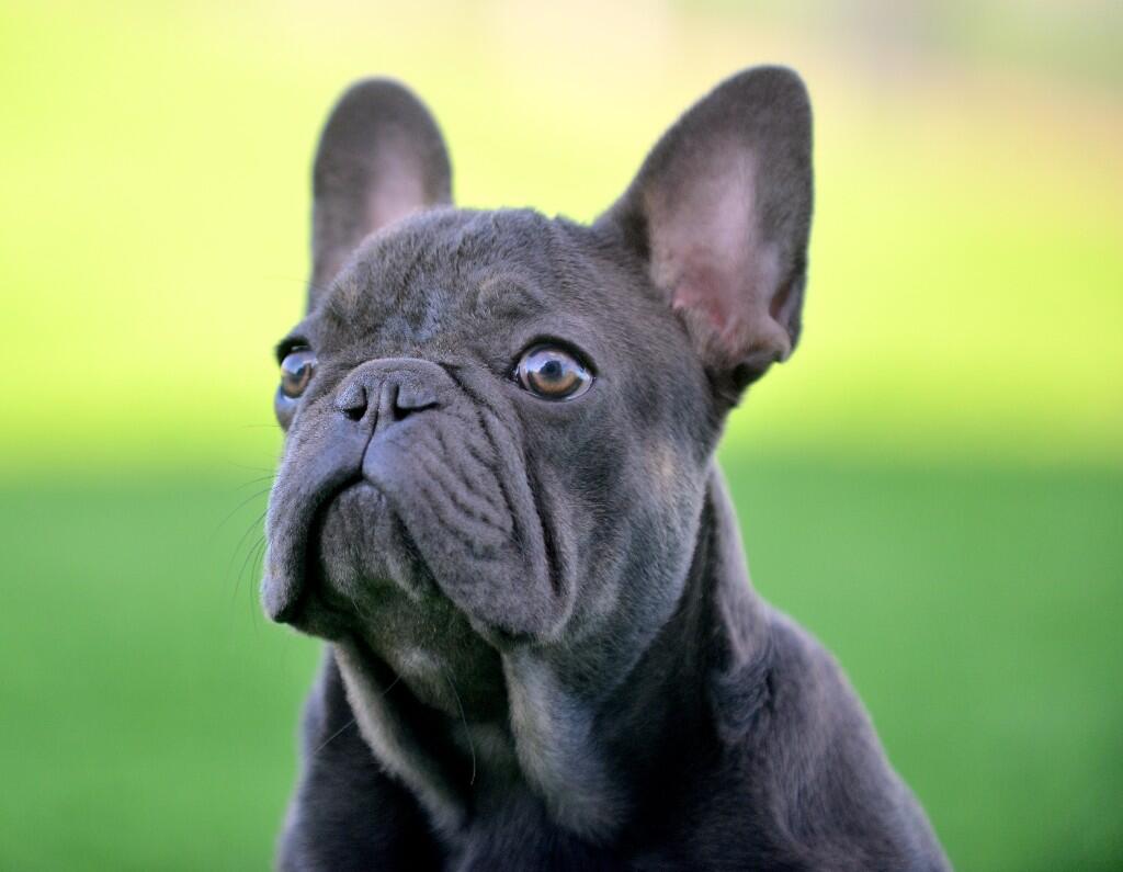 Additional image 11 of Apartment 326, The Forum, Pershore Street, Birmingham, B5