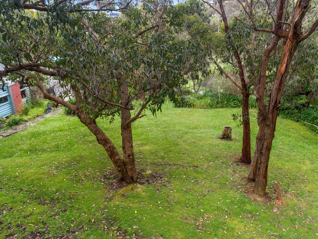 Additional image 4 of 13 Old Coach Road, Skenes Creek VIC 3233