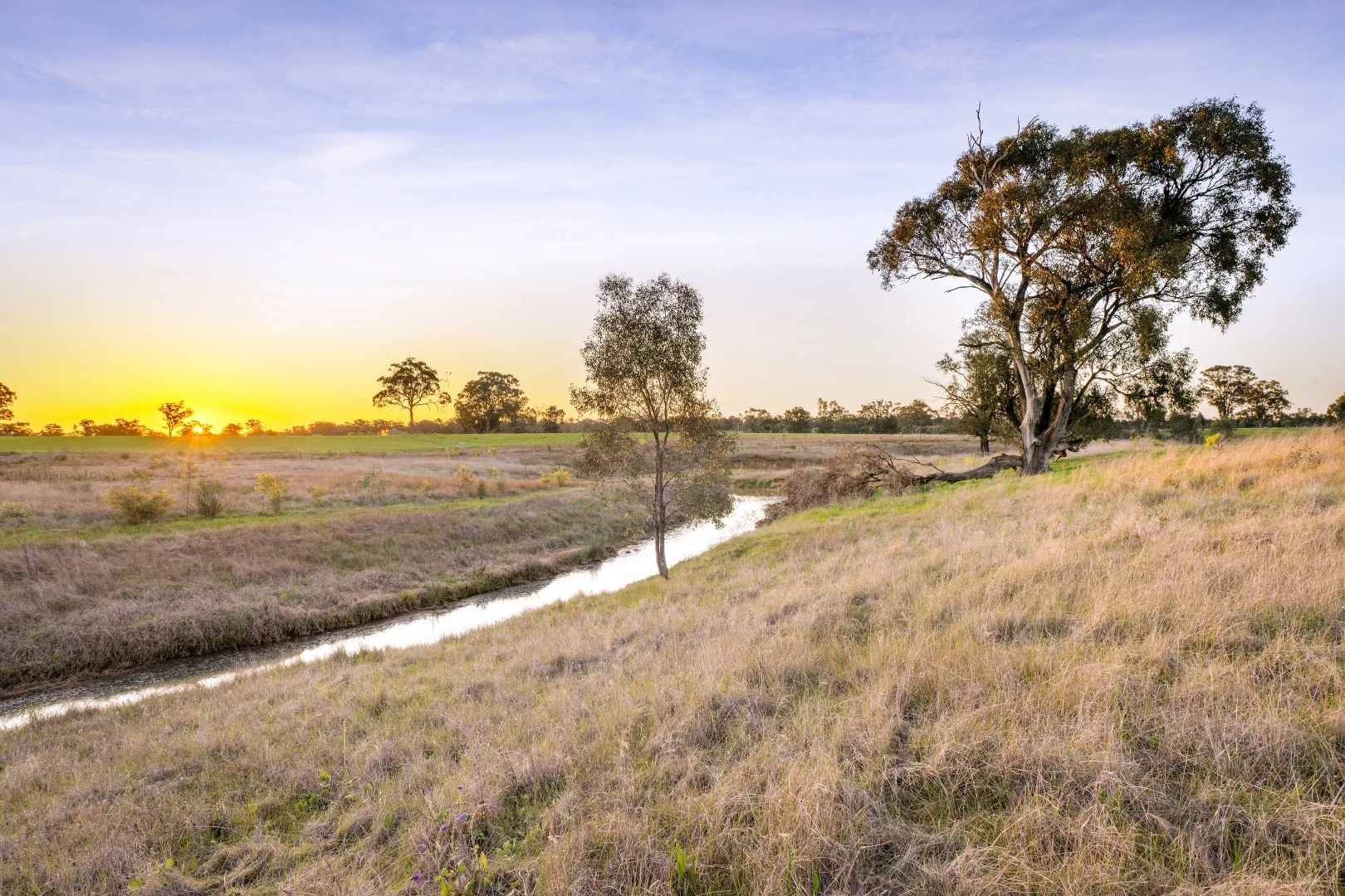 Additional image 19 of 617 Police Paddocks Road, Carlyle VIC 3685