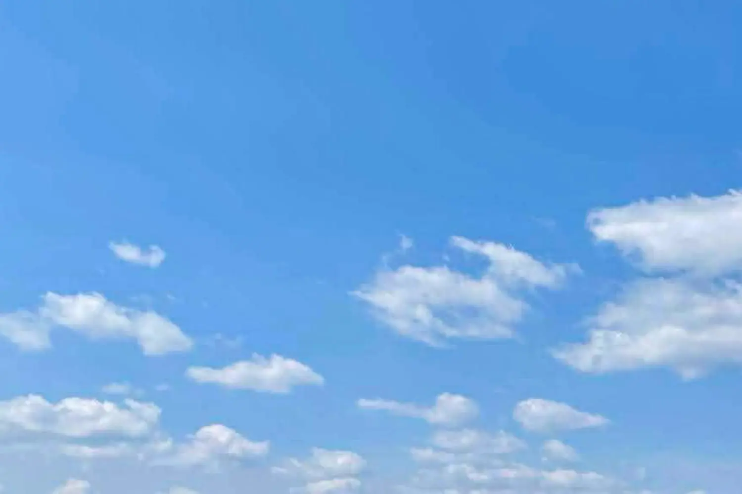 Additional image 12 of 99 Louisa Street 210