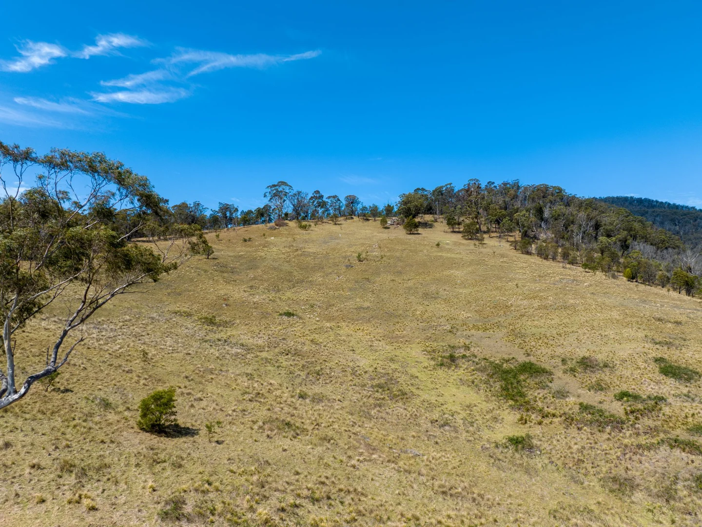 Additional image 4 of Lot 44 Mount Darragh Road, Wyndham NSW 2550
