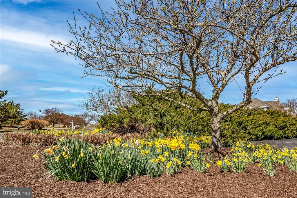 Additional image 44 of 37494 Pettinaro Dr Unit 8804, Ocean View, DE 19967