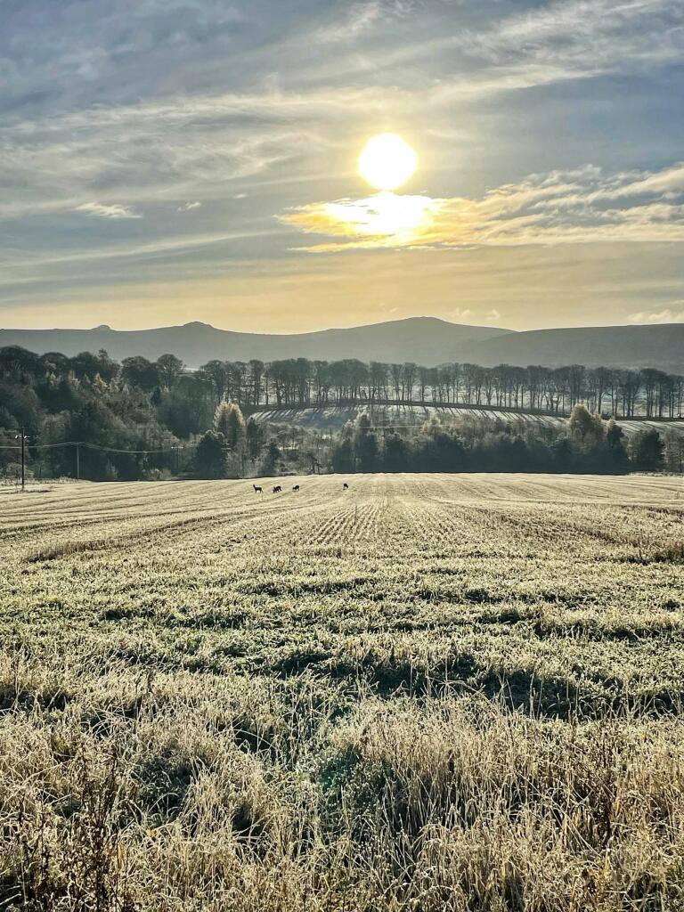 Additional image 35 of Drumrossie Coach House, Insch, Aberdeenshire, AB52 6LJ