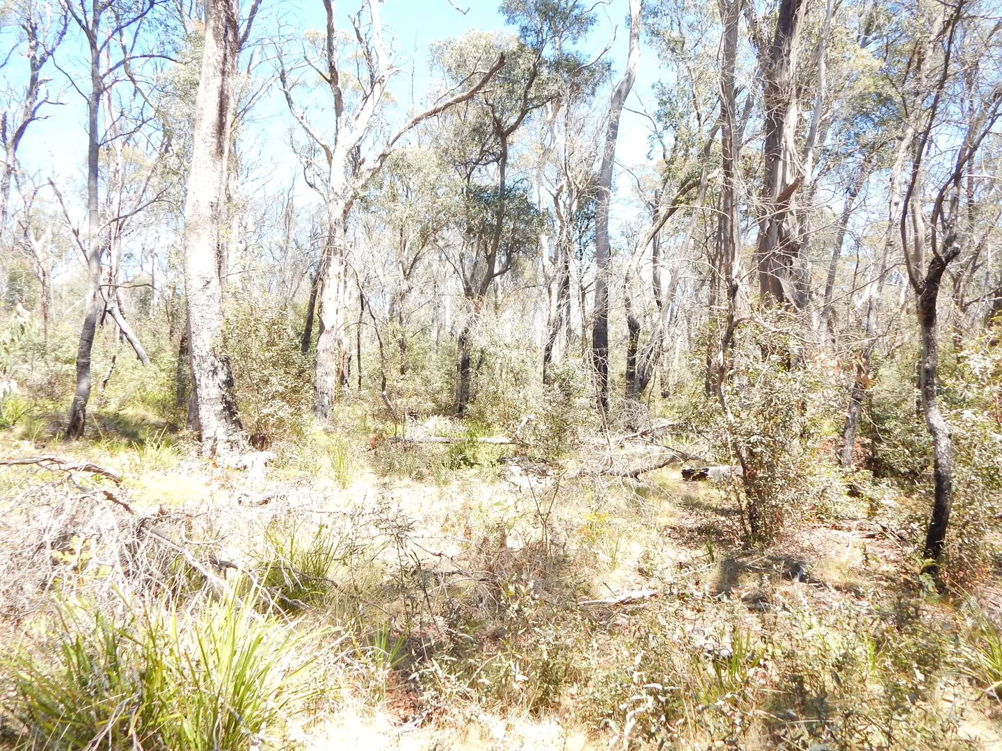 Additional image 9 of Lot 102 Badja Road, Countegany NSW 2630