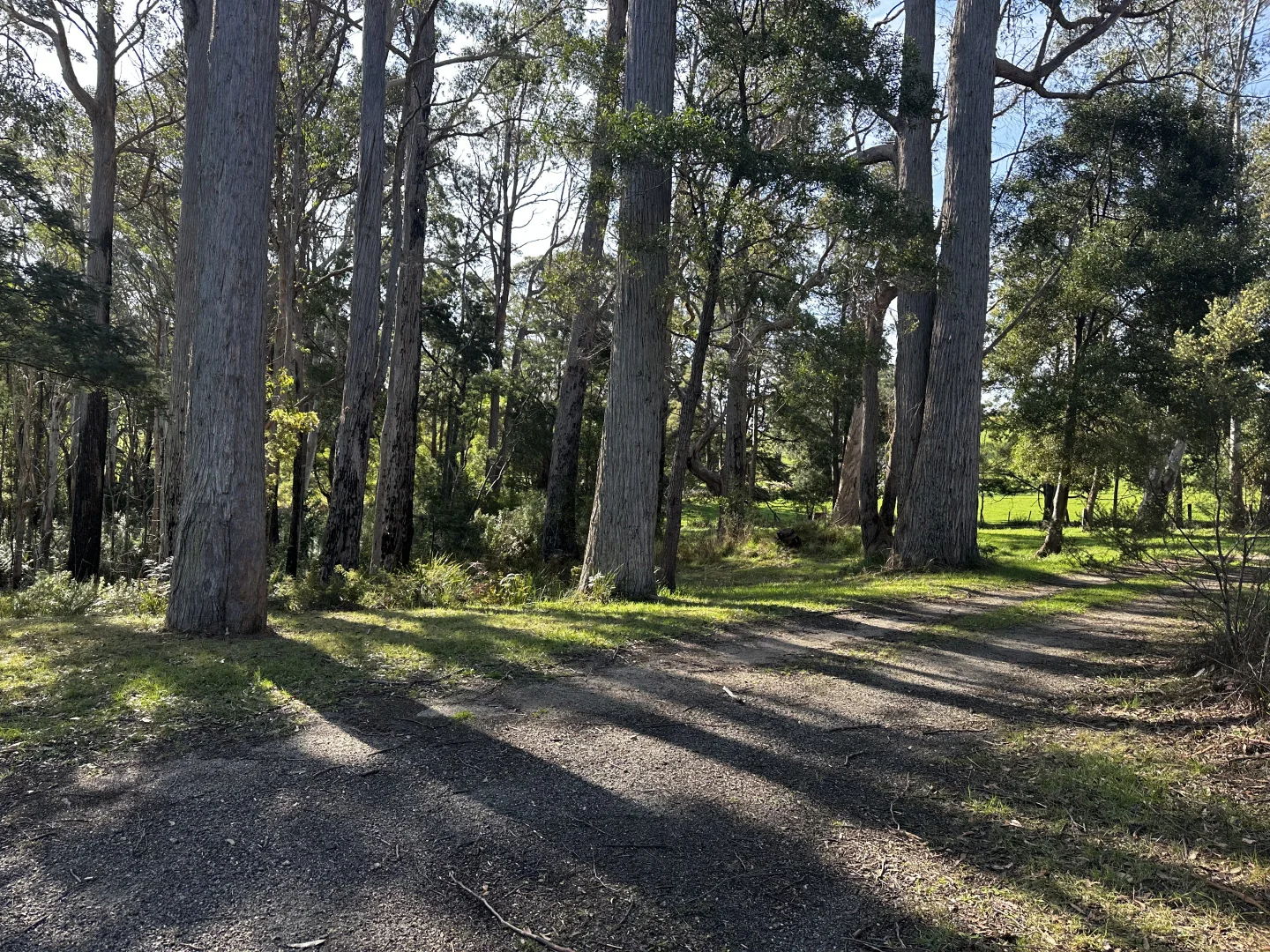 Additional image 35 of 27193 Tasman Highway, Goulds Country TAS 7216