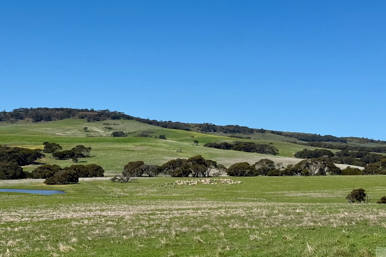 Additional image 28 of 2021 North Coast Road, Wisanger SA 5223