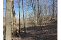 Additional image 34 of Timber Dr Lot 10, Cochecton, NY, 12726