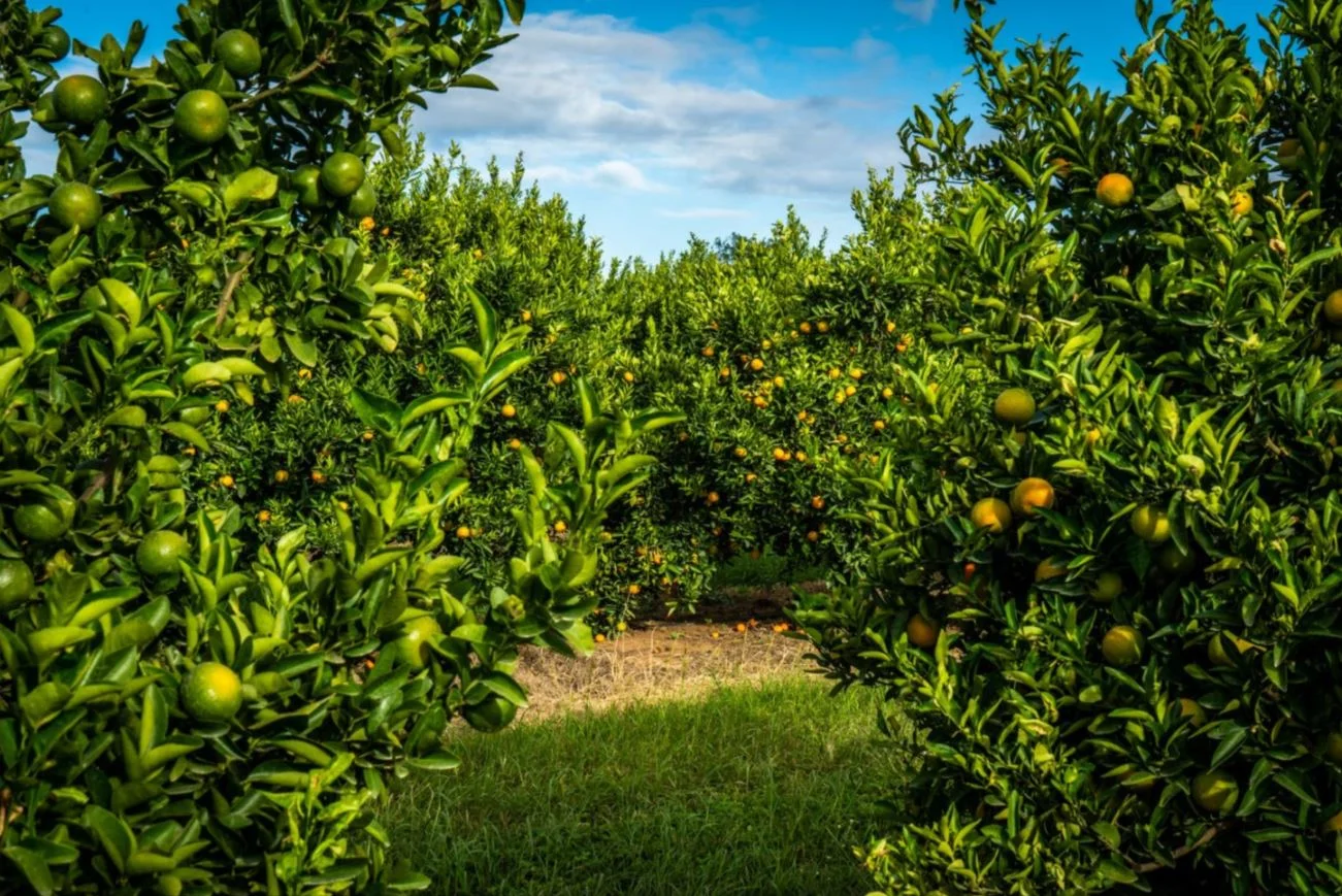 Additional image 12 of Reids Creek QLD 4625