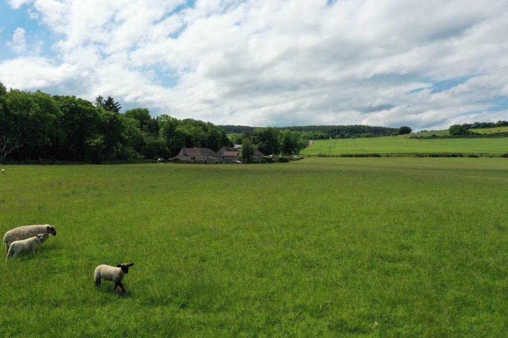 Additional image 3 of Development Land of 6 Plots, Bognie Place, Bognie, Huntly, AB54 6BF