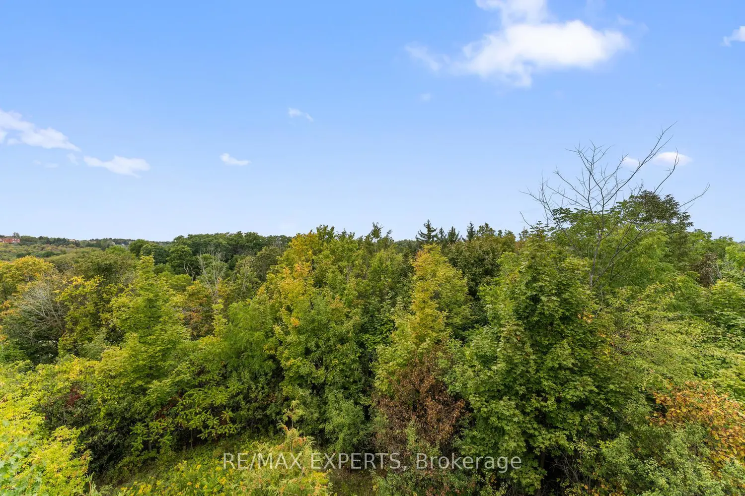 Additional image 16 of 134 Rolling Hills Lane