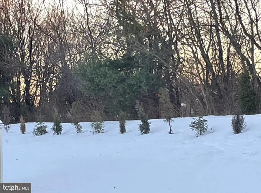 Additional image 58 of 260 Golden Plover Drive, Smyrna, DE 19977