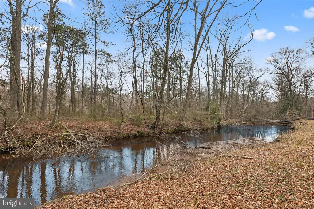 Additional image 76 of 31915 Elizabeth Drive, Dagsboro, DE 19939