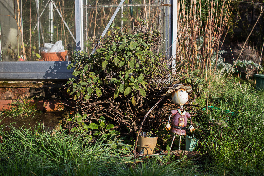 Additional image 13 of 2 Bed Bungalow, Kays Gardens, M3, N1 7GU