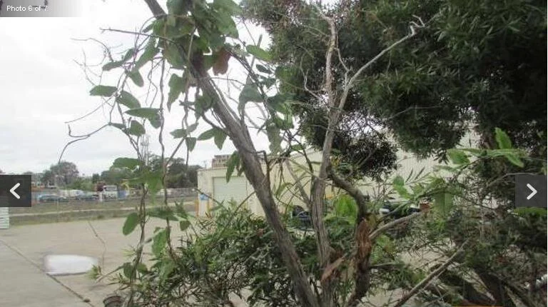 Additional image 5 of 17 Neil Street, Merrylands NSW 2160