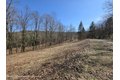 Additional image 18 of Timber Dr Lot 10, Cochecton, NY, 12726