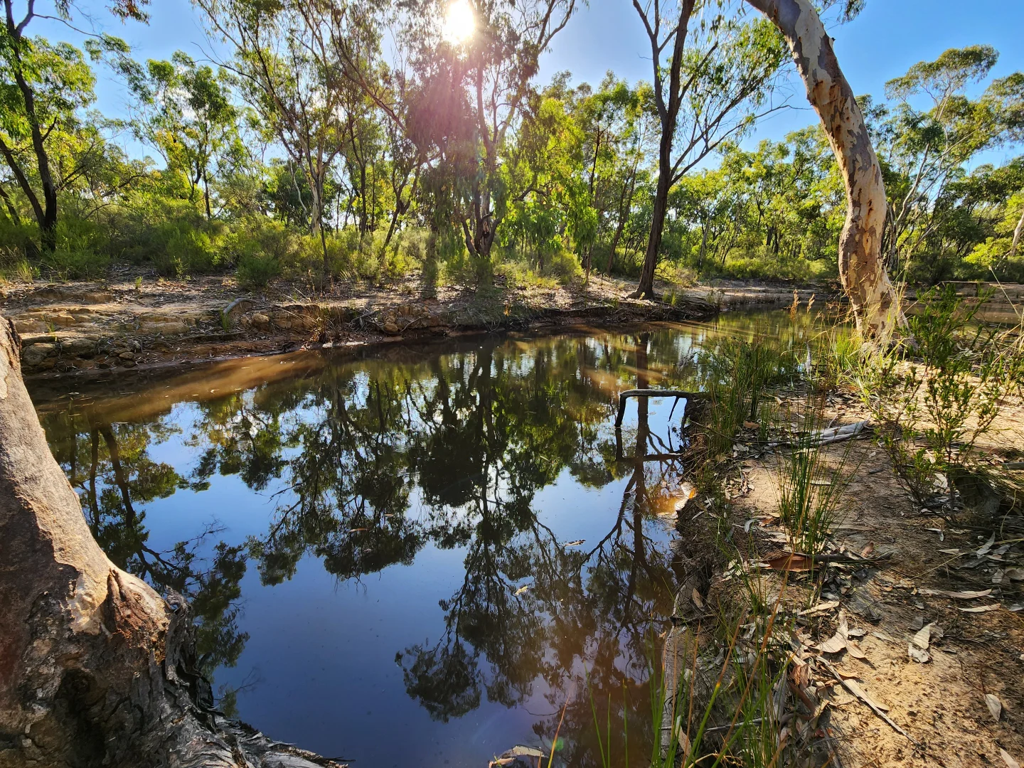 Additional image 23 of 14692 Oxley Highway, Rocky Glen NSW 2357