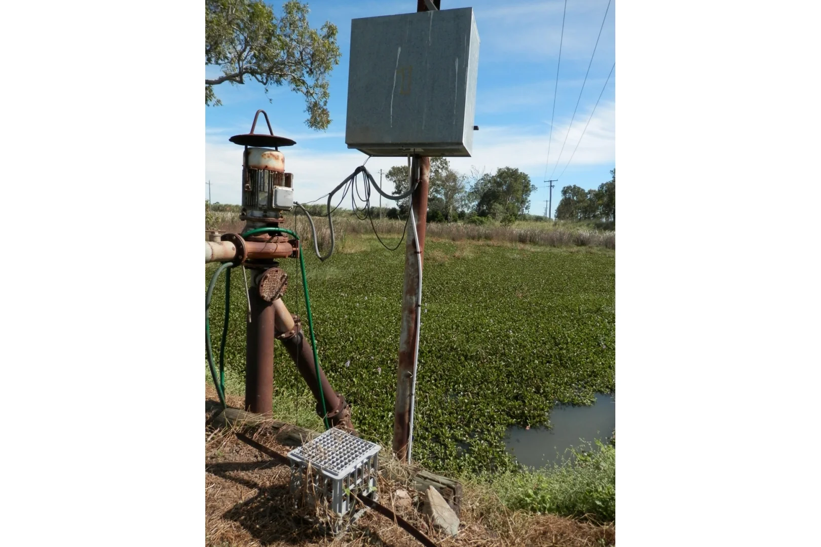 Additional image 14 of 52 Linton Road, Fredericksfield QLD 4806