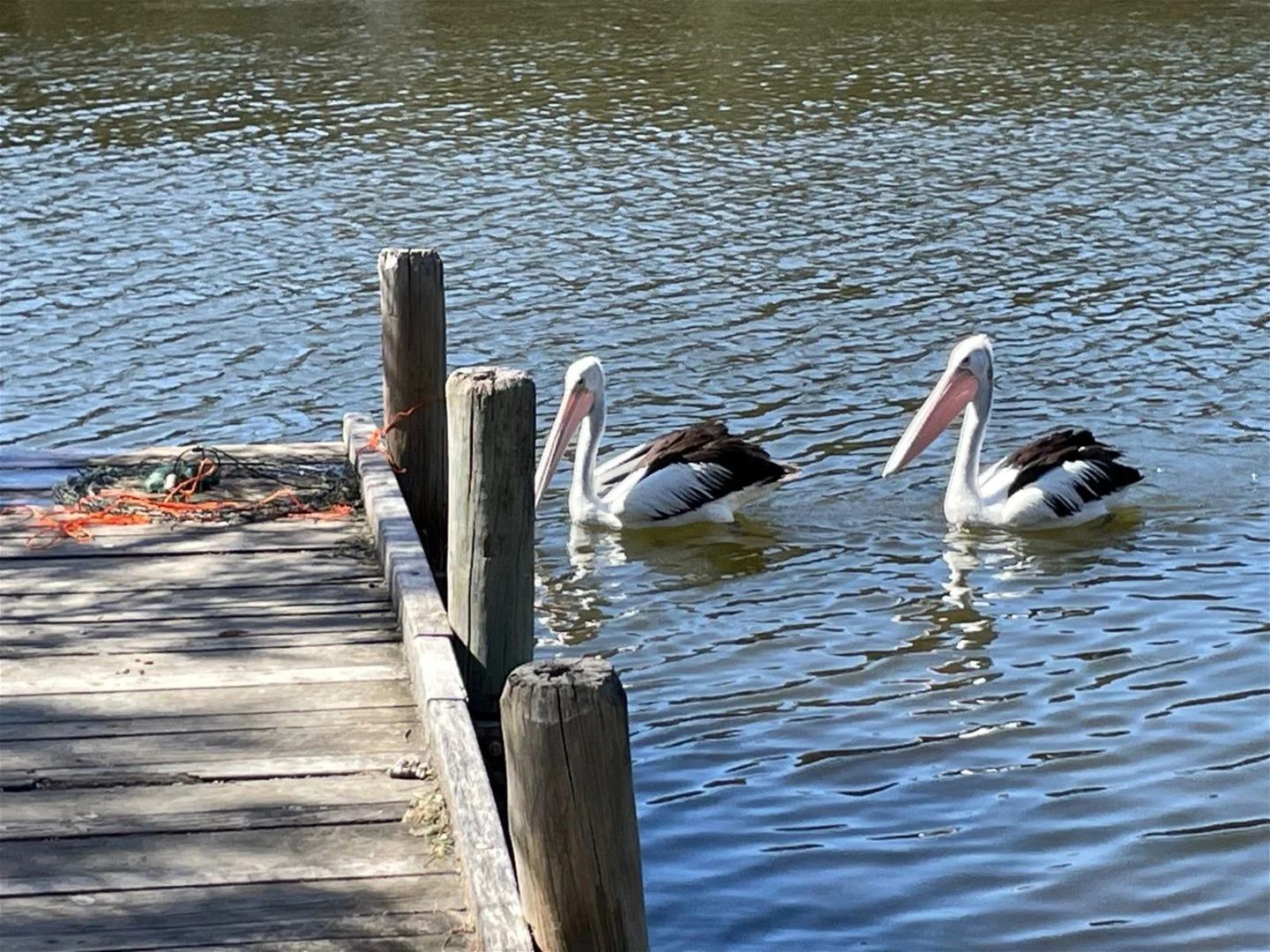 Additional image 22 of 26 Nesbit road, Greenfields WA 6210