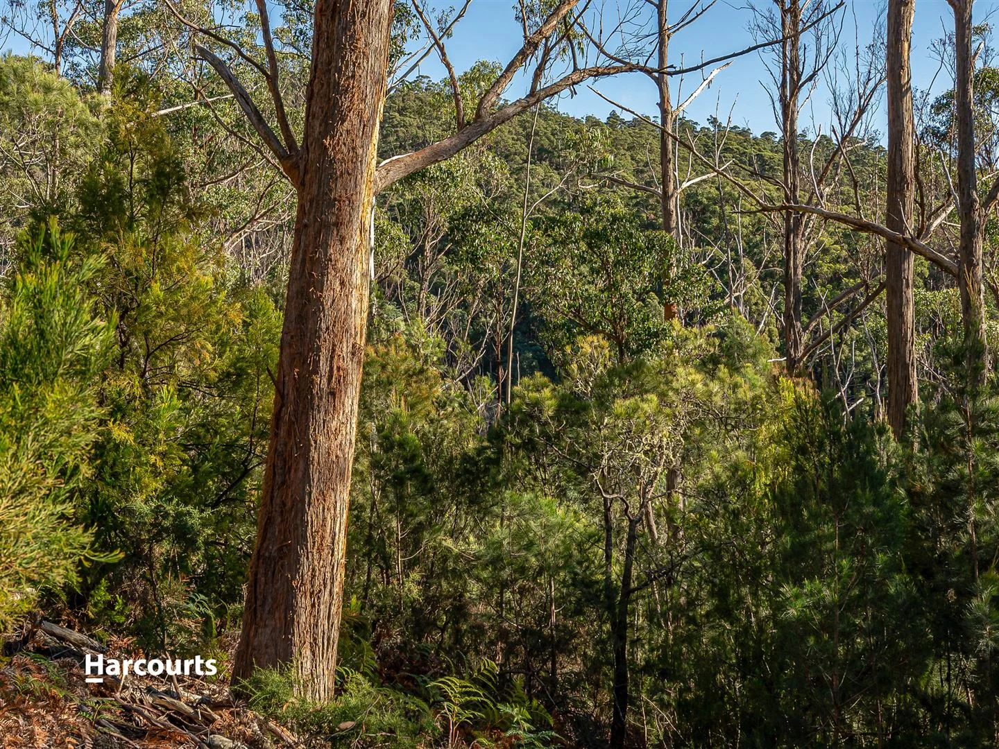 Additional image 11 of 46 Klasen Road, Police Point TAS 7116