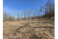 Additional image 5 of Timber Dr Lot 10, Cochecton, NY, 12726