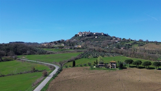 Additional image 8 of Monte Castello di Vibio (Perugia)