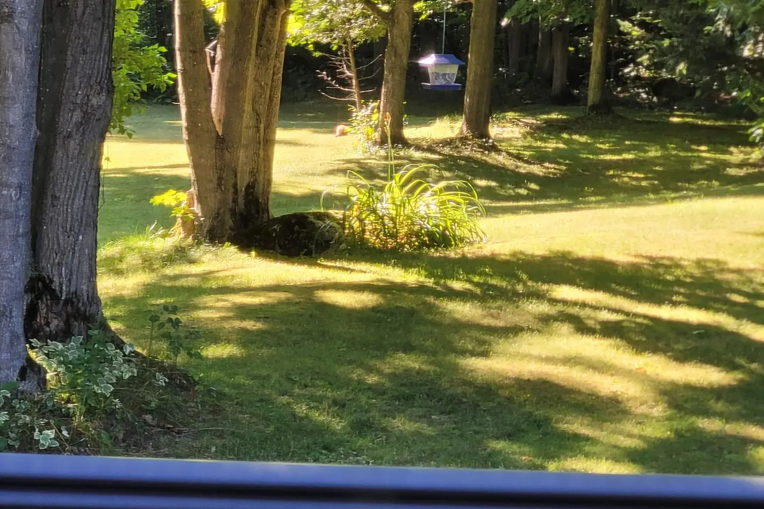 Additional image 19 of 240135 Wilcox Side Road