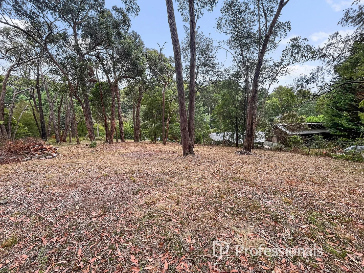 6 McKillop Road, Mount Evelyn VIC 3796