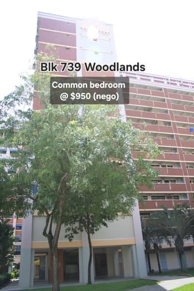 739 Woodlands Circle