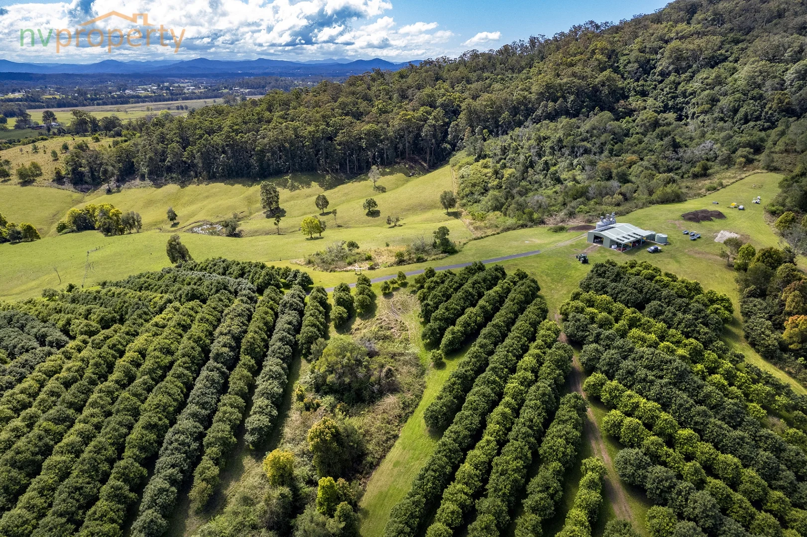 Additional image 23 of 31 Wesley Avenue, Donnellyville NSW 2447