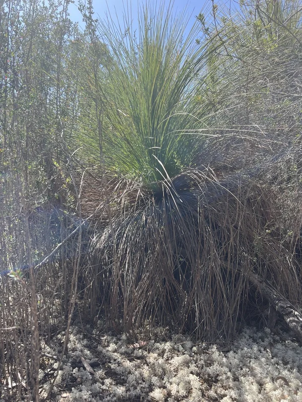 Additional image 2 of PID 6424103 Palana Road, Emita TAS 7255