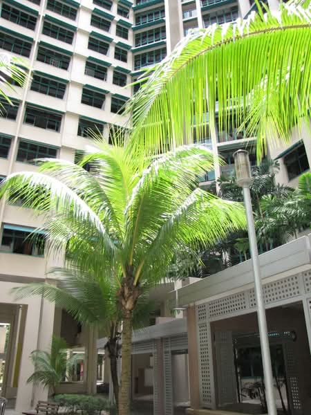 Additional image 8 of 474 Segar Road