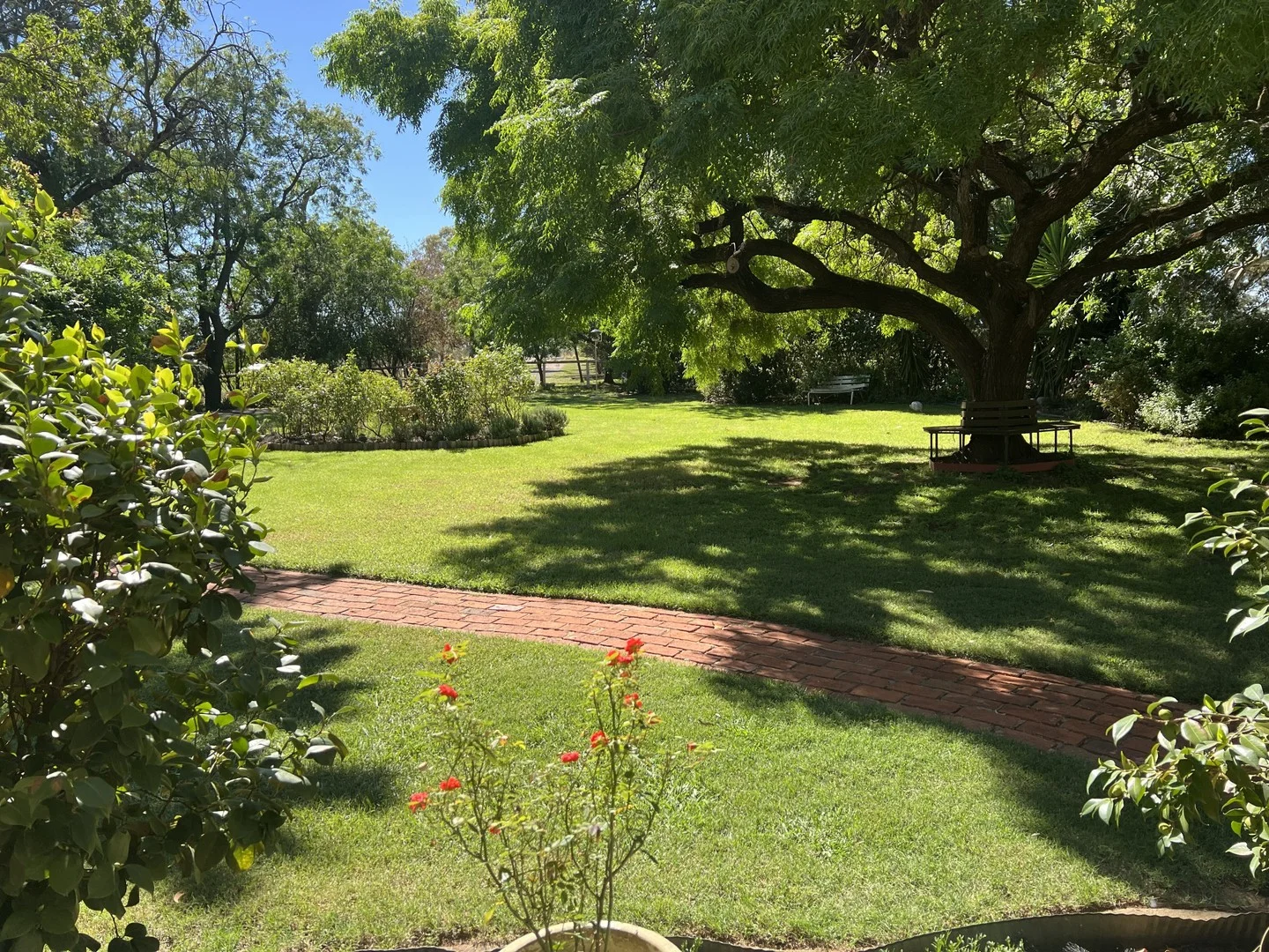 651 Jerilderie Road, Berrigan NSW 2712