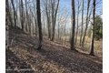 Additional image 11 of Timber Dr Lot 10, Cochecton, NY, 12726