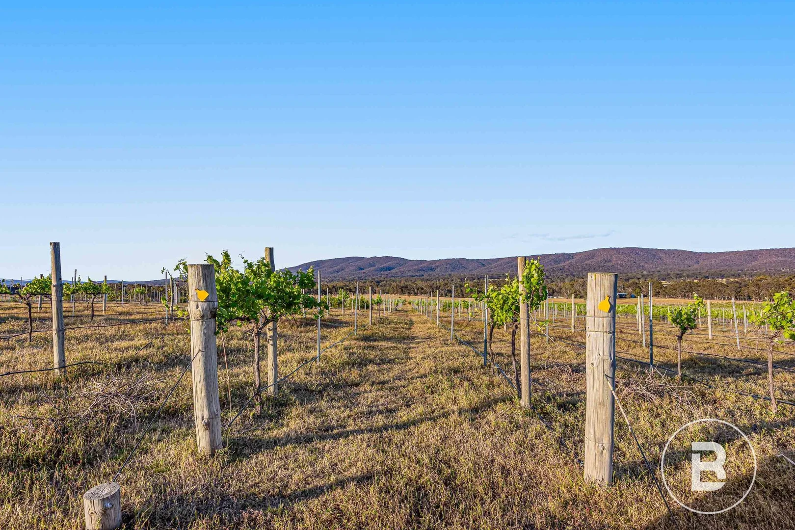 Additional image 9 of 194 Rifle Butts Road, Landsborough VIC 3384