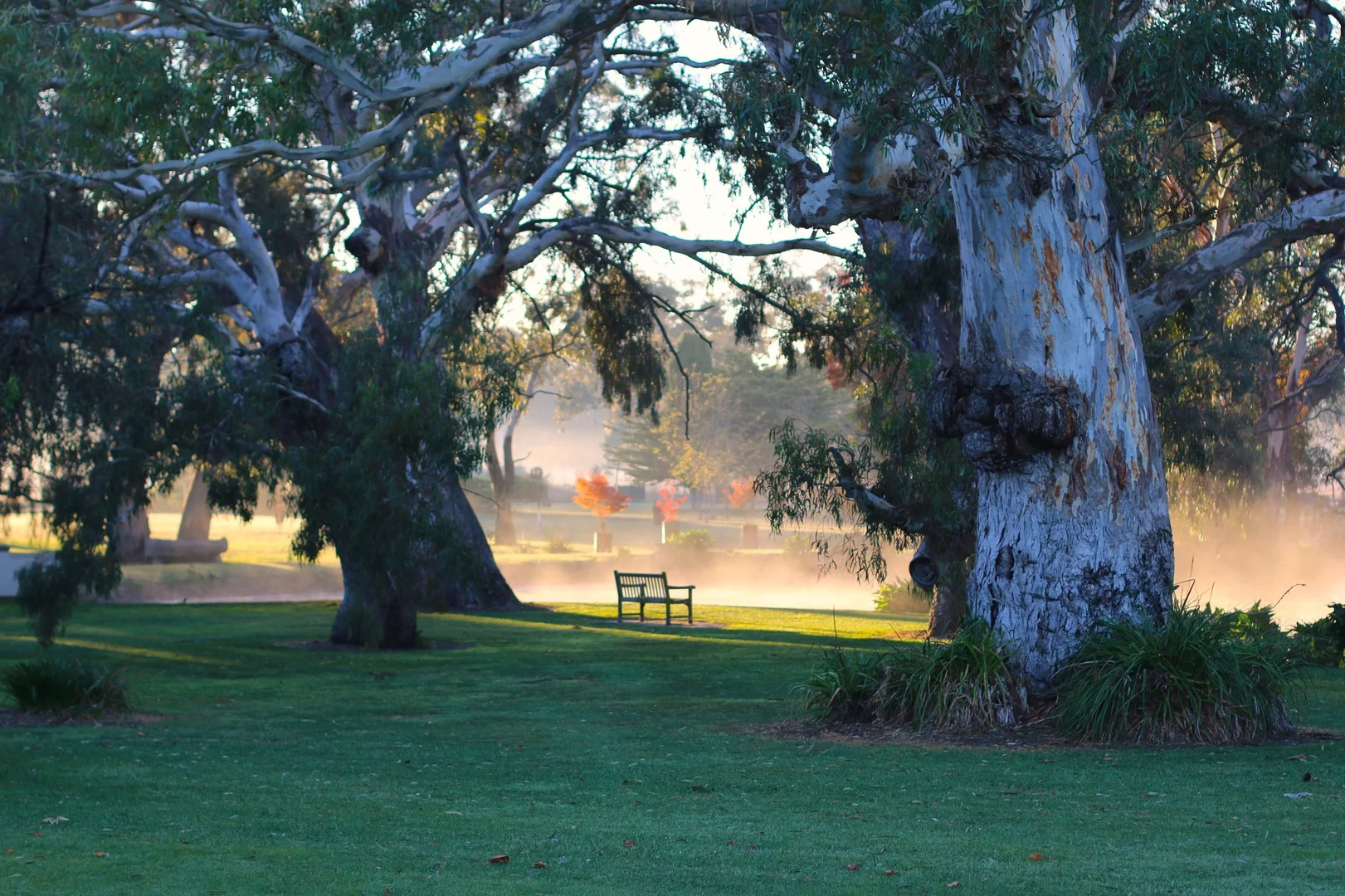 Additional image 15 of 344 Krongart Road, Penola SA 5277