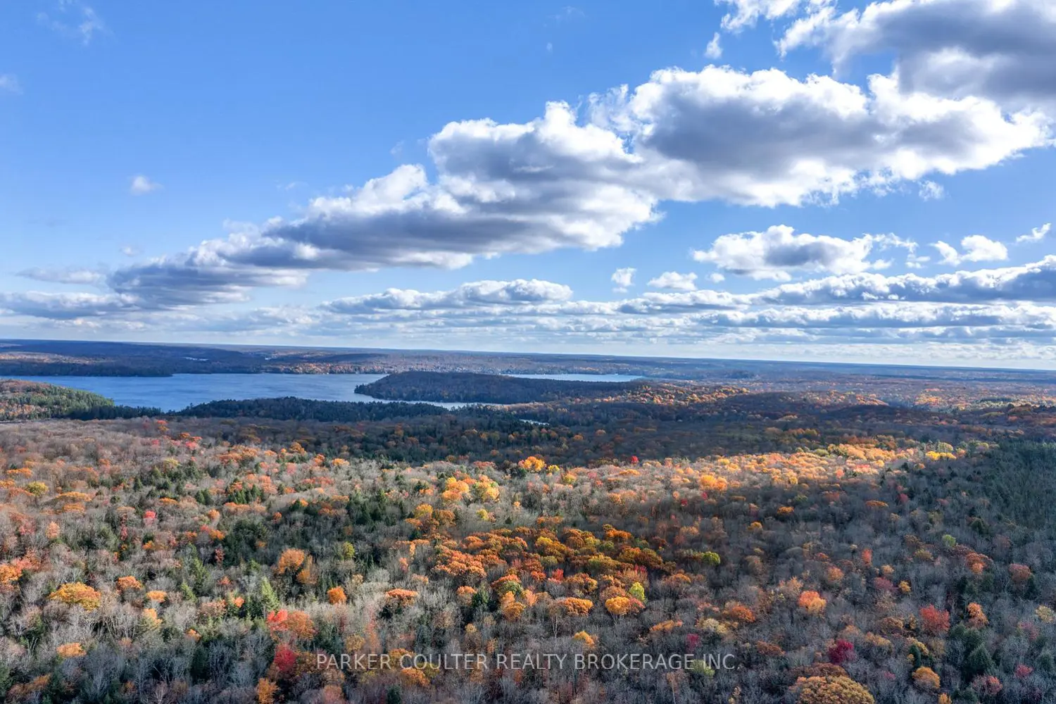 Additional image 8 of 561 White House Road