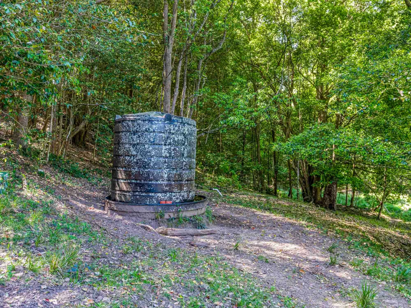 Additional image 13 of 1252 Yarramalong Road, Wyong Creek NSW 2259