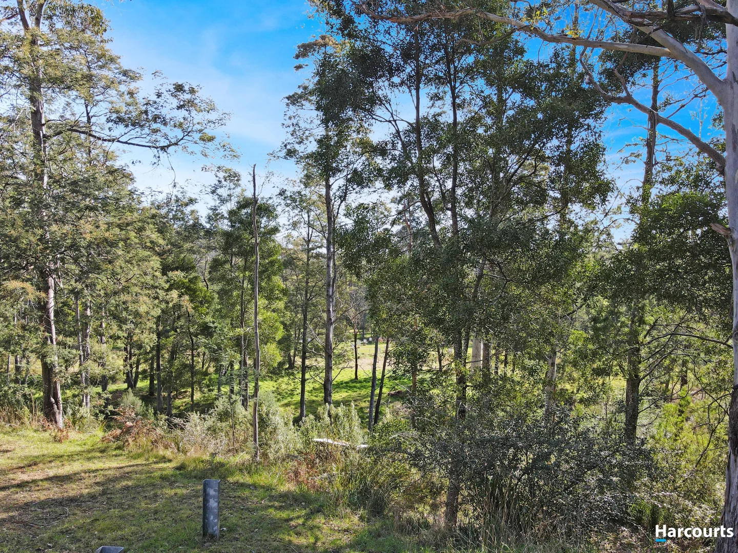 Additional image 43 of 27193 Tasman Highway, Goulds Country TAS 7216