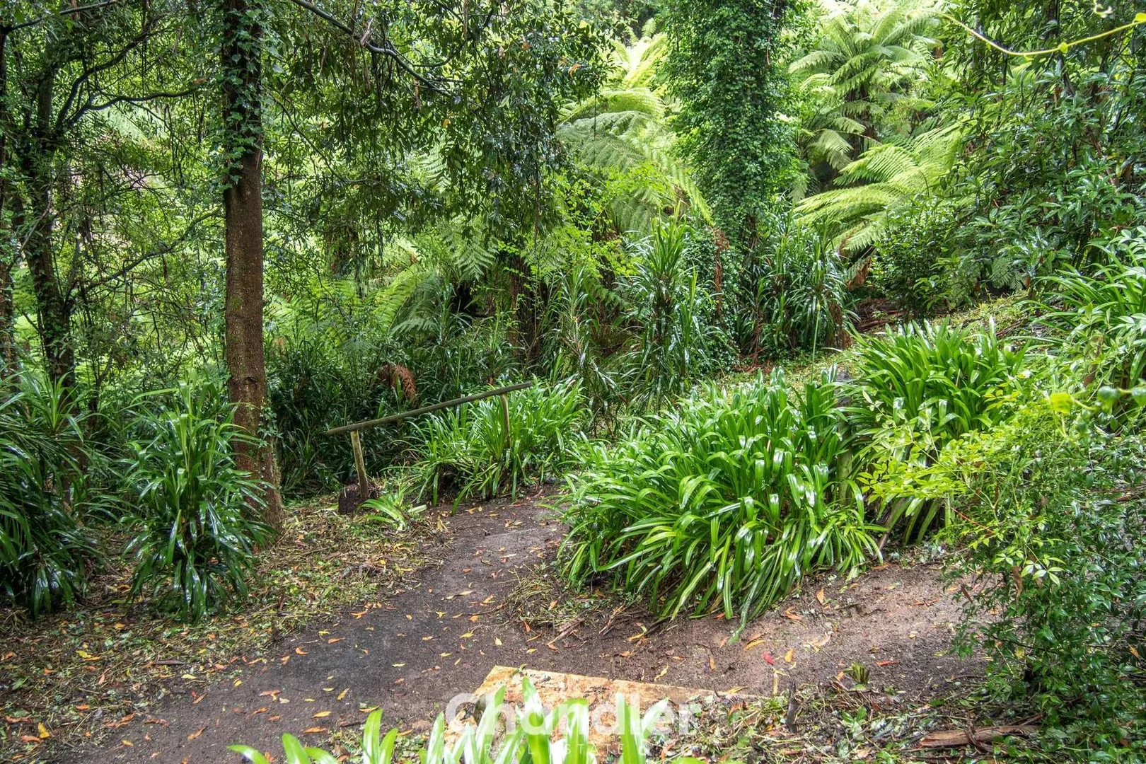 Additional image 8 of 85 Kallista - Emerald Road, The Patch VIC 3792